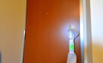 玄関ドア
