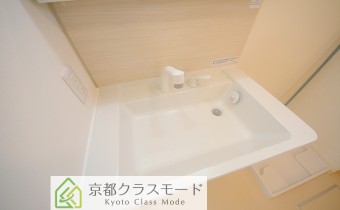 シャンプードレッサー