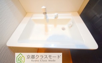 シャンプードレッサー