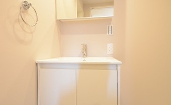 シャンプードレッサー