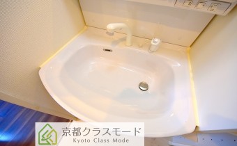 シャンプードレッサー