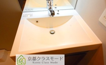 シャンプードレッサー