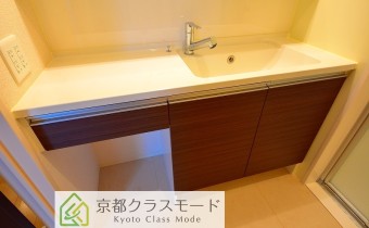 シャンプードレッサー