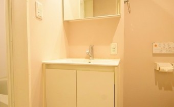 シャンプードレッサー