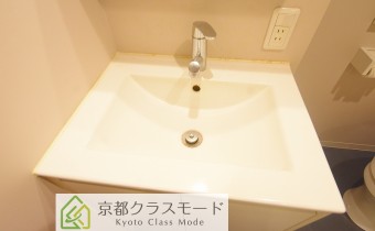 シャンプードレッサー
