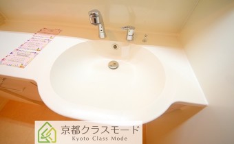 シャンプードレッサー