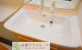 シャンプードレッサー