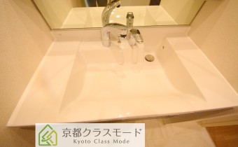 シャンプードレッサー