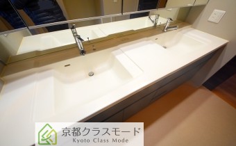 ダブルのシャンプードレッサー