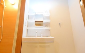 シャンプードレッサー