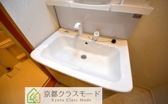 シャンプードレッサー