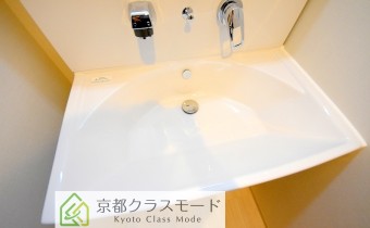 シャンプードレッサー
