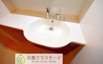 シャンプードレッサー