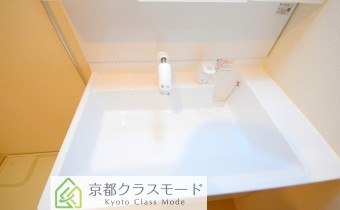 シャンプードレッサー