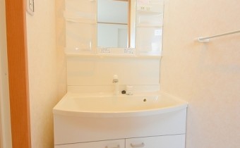 シャンプードレッサー