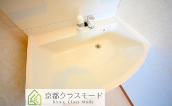 シャンプードレッサー