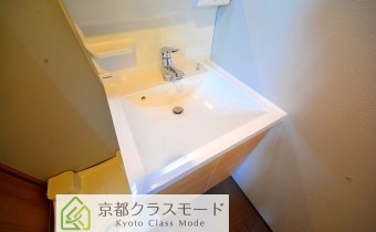 シャンプードレッサー