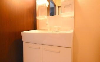 シャンプードレッサー