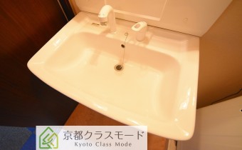シャンプードレッサー