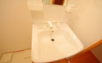 シャンプードレッサー