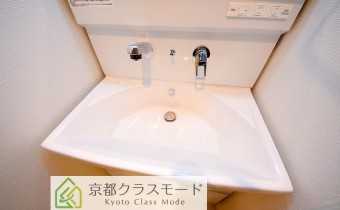 シャンプードレッサー