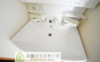 シャンプードレッサー