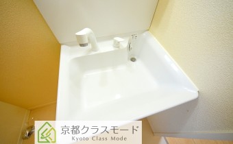 シャンプードレッサー