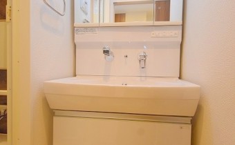 シャンプードレッサー