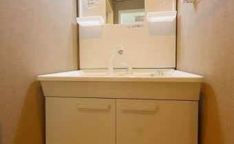 シャンプードレッサー