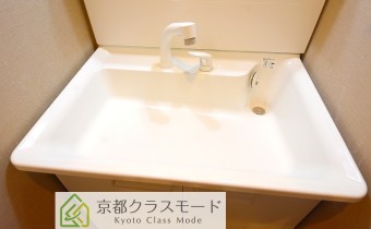 シャンプードレッサー