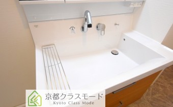 シャンプードレッサー