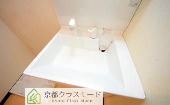 シャンプードレッサー