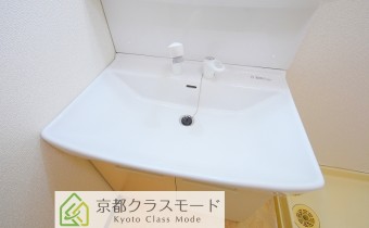 シャンプードレッサー