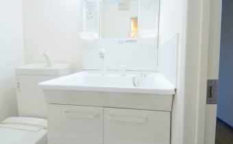 シャンプードレッサー