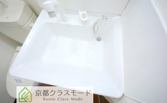 シャンプードレッサー