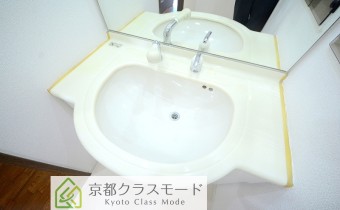 シャンプードレッサー