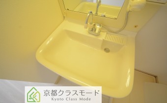 シャンプードレッサー