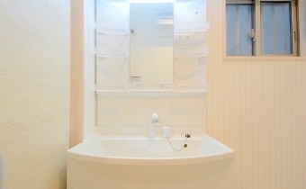 シャンプードレッサー