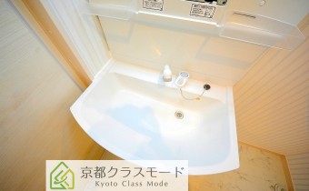 シャンプードレッサー