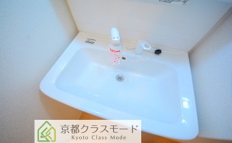 シャンプードレッサー