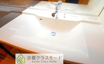シャンプードレッサー