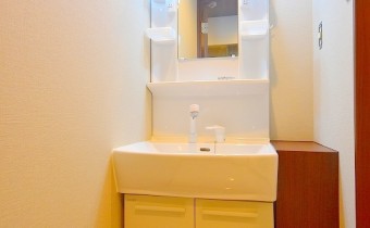 シャンプードレッサー