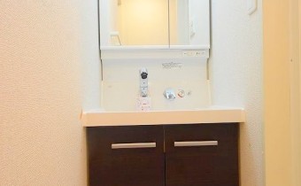シャンプードレッサー