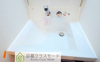 シャンプードレッサー