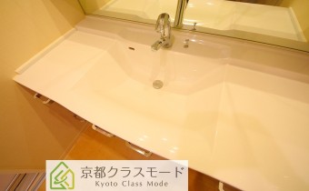 シャンプードレッサー