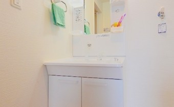 シャンプードレッサー