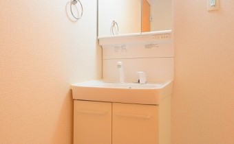 シャンプードレッサー