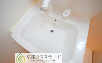 シャンプードレッサー