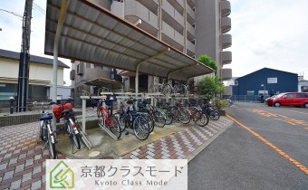 駐輪スペース
