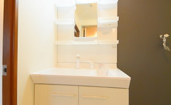 シャンプードレッサー